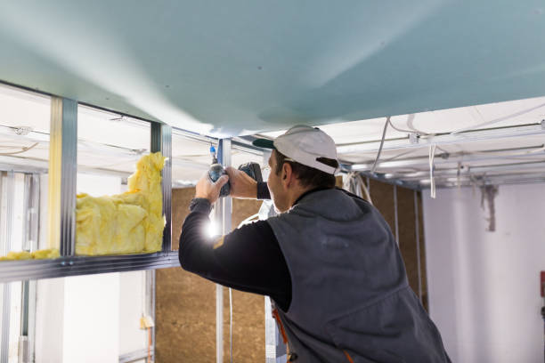 Best Insulation Maintenance and Repair in Oill, NE